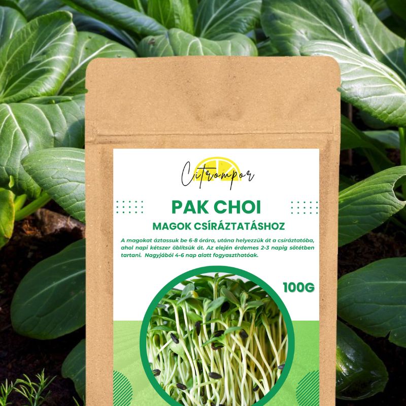 Pak Choi Csíramagok XXL 100g