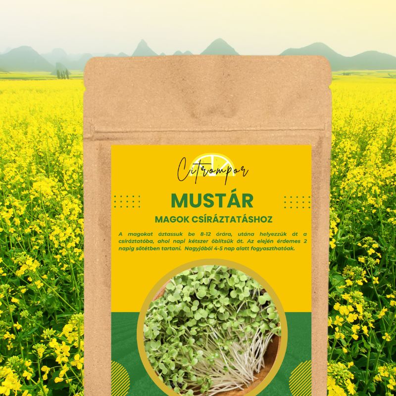 Mustár Csíramagok XXL 100g