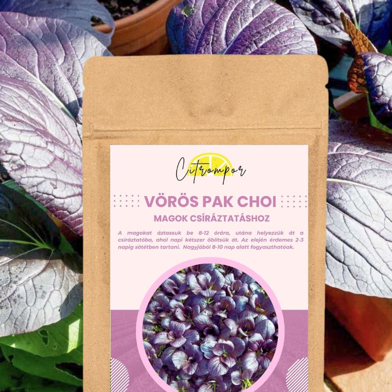 Vörös Pak Choi Csíramagok XXL 100g